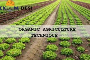 Organic Agriculture Technique