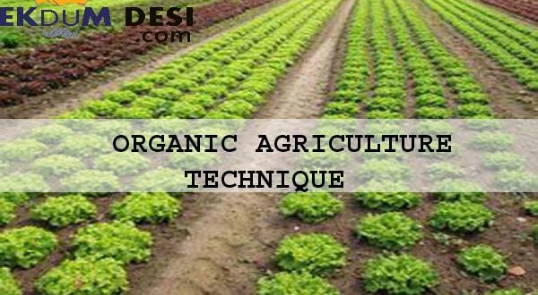 Organic Agriculture Technique