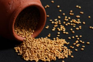 Fenugreek Extract: An Alternative Sports Supplement