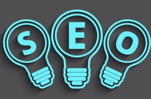 SEO company in Chandigarh