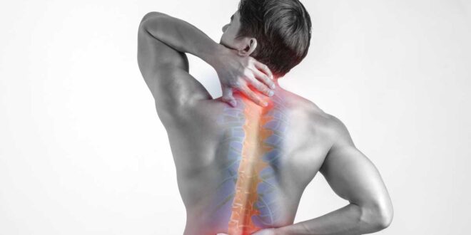 best spine doctor in Chandigarh