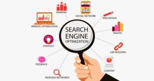 top SEO company in Chandigarh