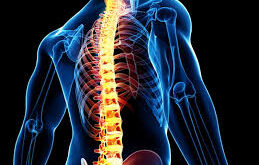 Chandigarh Best Spine Surgery and Treatment Hospital