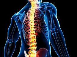 Chandigarh Best Spine Surgery and Treatment Hospital